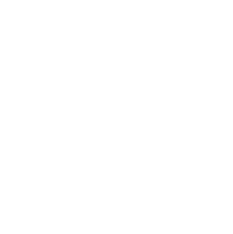 Ryu Acupuncture Clinic logo (dark mode)